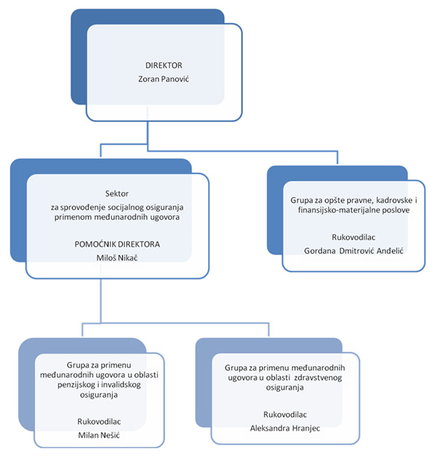 Organizacija